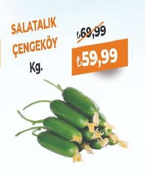 Salatalık Çengeköy Kg
