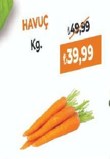 Havuç Kg