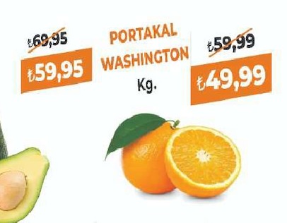 Portakal Washington Kg