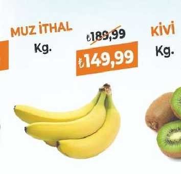 Muz İthal Kg.