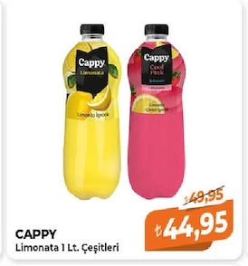 Cappy Limonata 1 Lt. Çeşitleri