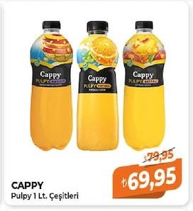 Cappy Pulpy 1 Lt. Çeşitleri
