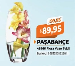 Paşabahçe 43966 Flora Vazo Tekli