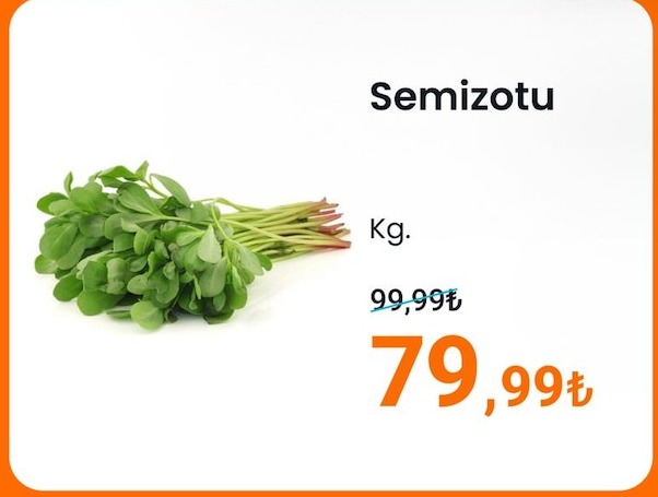 Semizotu Kg.