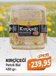 Kirçiceği Petek Bal 430 Gr.