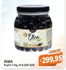 Olea Zeytin 1 Kg. M-S (261-320)