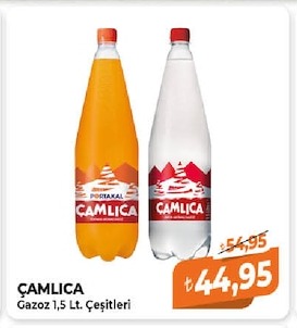 Çamlıca Gazoz 1,5 Lt. Çeşitleri