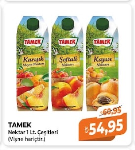 Tamek Nektar 1 Lt. Çeşitleri