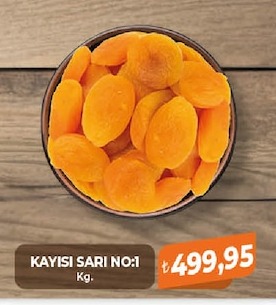 Kayisi Sari No:1 Kg.
