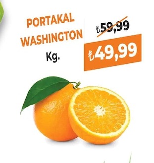 Portakal Washington Kg.