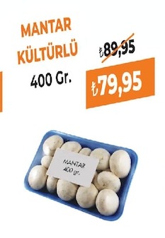 Kültür Mantarı 400G