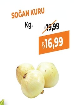 Kuru Soğan Kg.