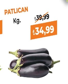 Patlıcan Kg.