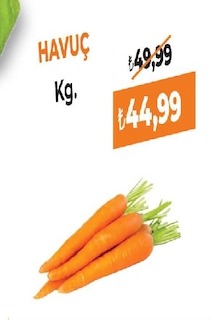 Havuç Kg.
