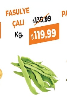 Fasulye Çalı Kg.