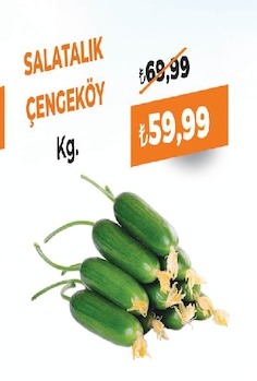 Salatalik Cengekoy Kg.