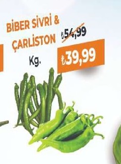 Biber Sivri & Çarliston Kg