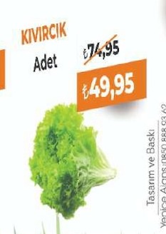 Kıvırcık Adet