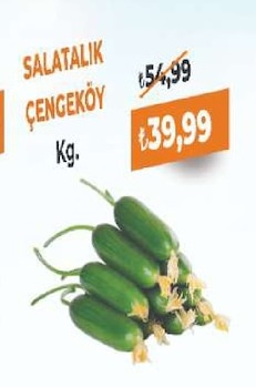 Salatalik Cengekoy Kg.
