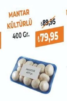 Mantar Kultur U 400 Gr.