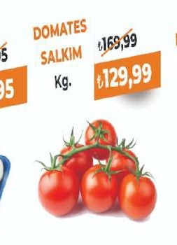 Domates Salkim Kg.