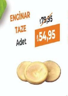 Enginar Taze Adet
