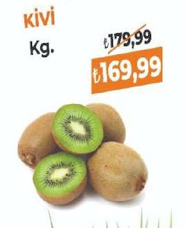 Kivi Kg.