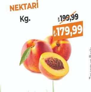 Nektari Kg.