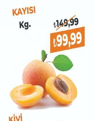 Kayisi Kg.
