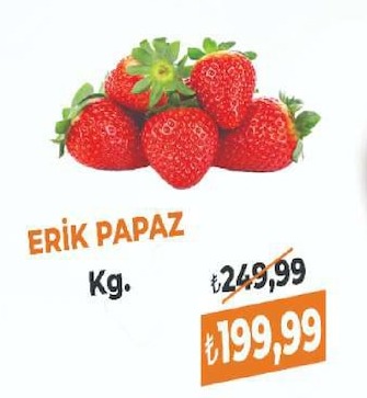 Erik Papaz Kg.