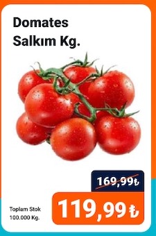 Domates Salkim Kg.