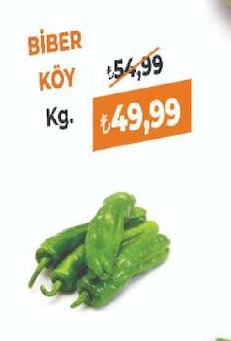 Biber Köy Kg.