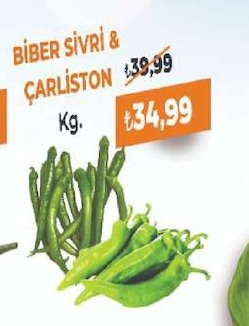 Biber Sivri & Çarlston Kg.