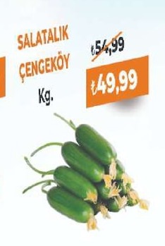 Salatalık Çengeköy Kg.