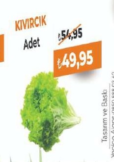 Kıvırcık Adet