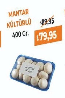 Mantar Kültürlü 400 Gr