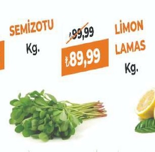 Semizotu Kg