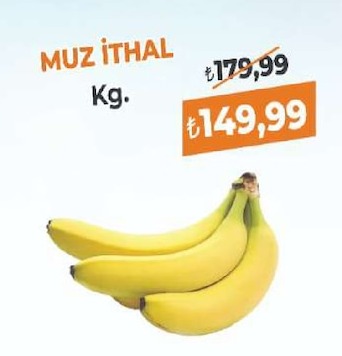 Muz İthal Kg.