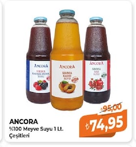 Ancora %100 Meyve Suyu 1 Lt. Çeşitleri