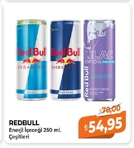 Redbull Enerji İçeceği 250 Ml. Çeşitleri