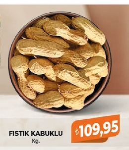 Fıstık Kabuklu Kg.