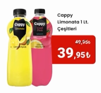 Cappy Limonata 1 Lt. Çeşitleri