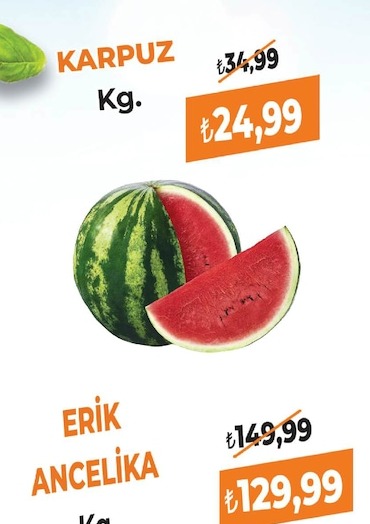 Karpuz Kg.