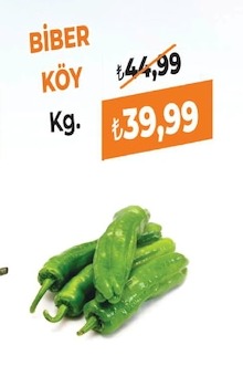 Biber Köy Kg.