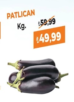 Patlıcan Kg.