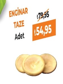 Enginar Taze Adet