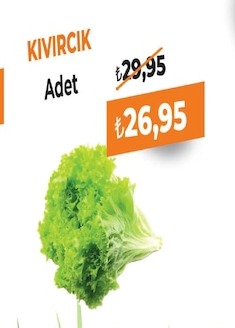 Kıvırcık Adet