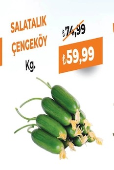 Salatalık Çengeköy Kg.