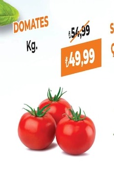 Domates Kg.