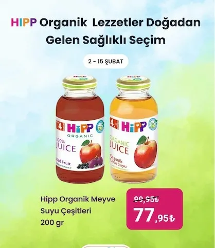 Hipp Organik Meyve Suyu Çeşitleri 200 Gr